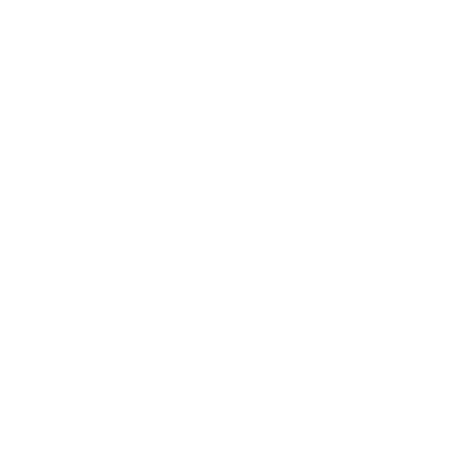 Budget & Financial Forecasting