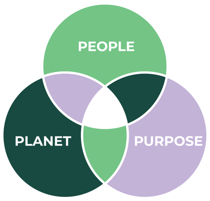 B Corp Diagram