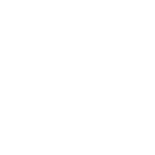 Dedicated Team Members​