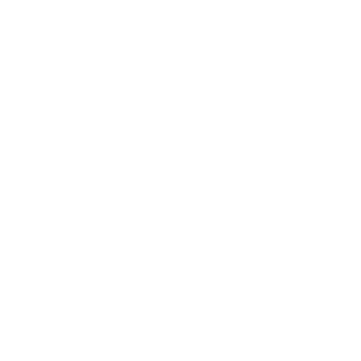 High-Quality Advice Document 