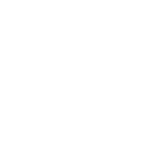 icon1