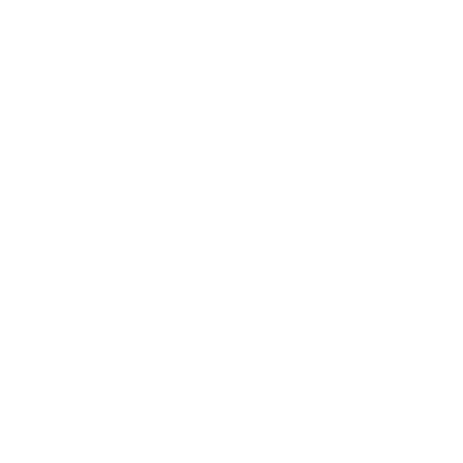icon3