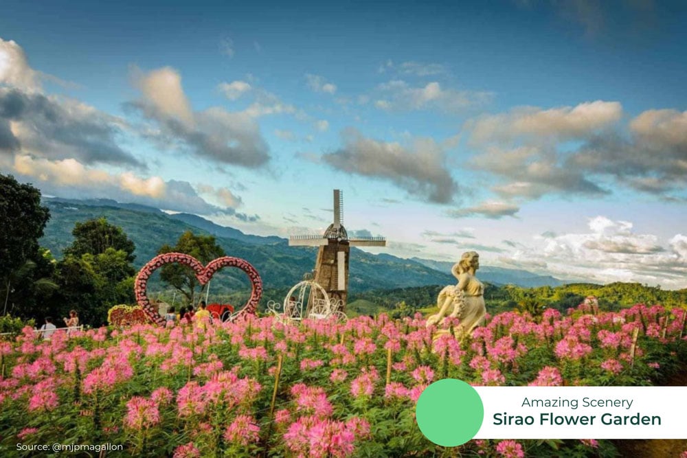 welcome-to-cebu-scenery-sirao-flower-garden