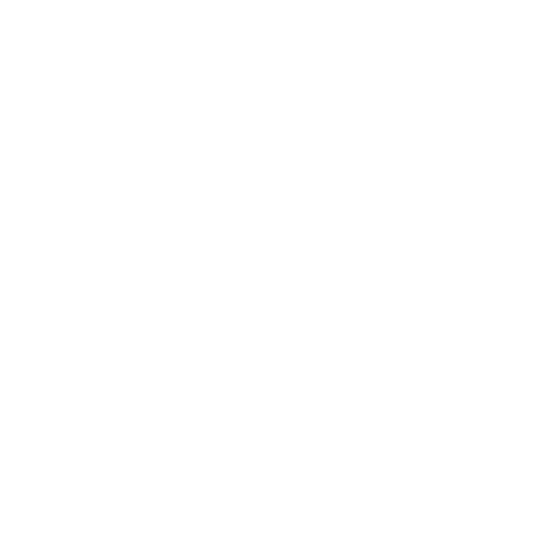 balance-sheet
